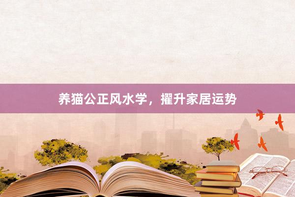 养猫公正风水学，擢升家居运势